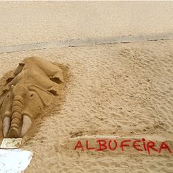 DSCN1619-Kopie-klein